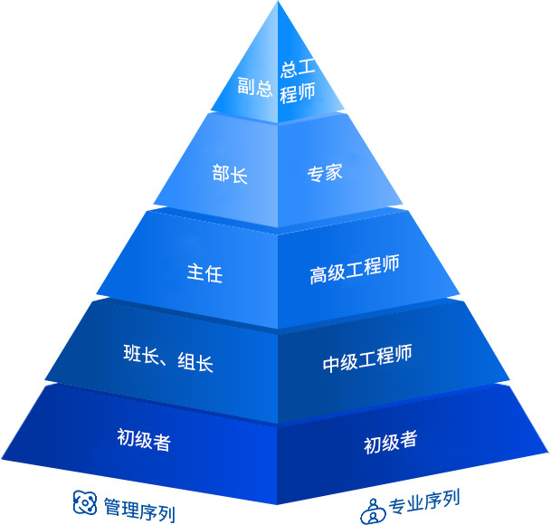 AG真人国际之星